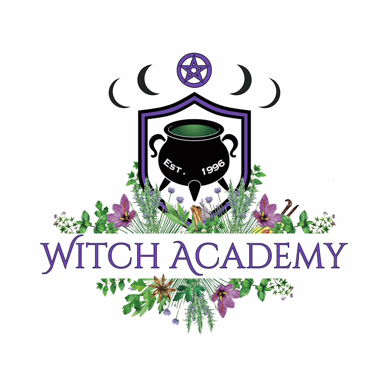 Official Witch Academy t-shirts. Show your school spirit!